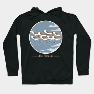 Sanderling Hoodie